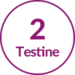 spazzola elettrica testine rotanti