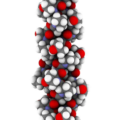 Collagene
